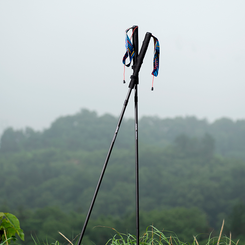 2pcs AONIJIE Folding Outdoor Q - Trekking Pole Carbon 评论和价格